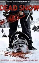 Ölü Kar izle