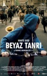 Beyaz Tanrı – White God filmini izle türkçe hd