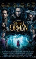 Sihirli Orman filmini izle türkçe dublaj 2014 Into the Woods tek parça