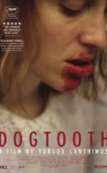 Köpek Dişi filmini izle türkçe dublaj 720p