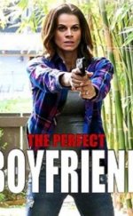Mükemmel Sevgili – The Perfect Boyfriend 2013 türkçe dublaj izle