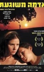 Tatlı Çamur 2006 izle