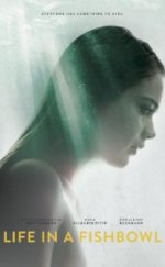 Fanusta Yaşayanlar – Life in a Fishbowl 2014 izle