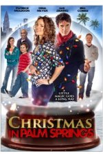 Palm Spring’te Yeni Yıl – Christmas in Palm Springs 2014 izle