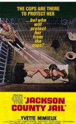Gözaltında Tecavüz 1976 türkçe dublaj izle