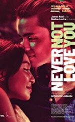 Never Not Love You