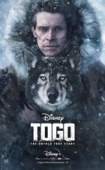 Togo izle