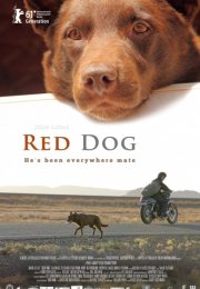 Kırmızı Köpek türkçe dublaj izle