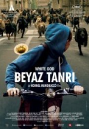 Beyaz Tanrı – White God filmini izle türkçe hd