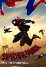 Örümcek Adam Örümcek Evreninde 2018 izle