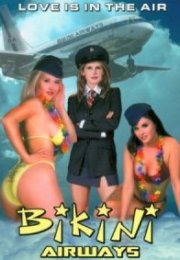 Bikini Airways – Çıplak Hostesler erotik film izle