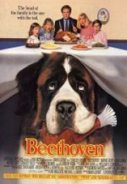 Afacan Köpek Beethoven türkçe dublaj izle