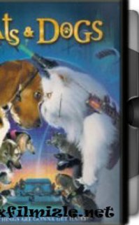 Kediler ve Köpekler Filmini İzle (Türkçe Dublaj)
