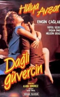 Dagli Güvercin 1986 Hülya Avşar, Engin Çağlar izle