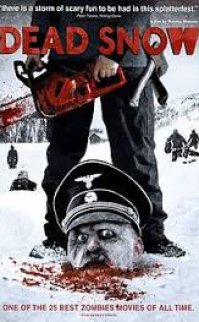 Ölü Kar izle