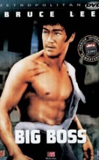 Büyük Patron Bruce Lee türkçe dublaj izle