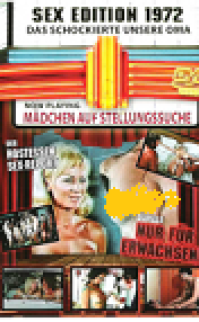 Mädchen auf Stellungssuche (Der Hostessen-Sex-Report) erotik film izle