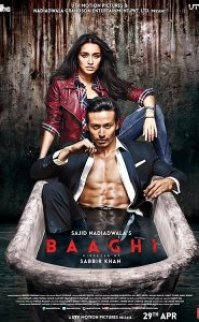 Baaghi: Asi ve Aşık izle