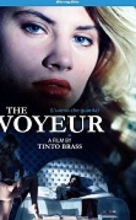 The voyeur 1994 erotik film izle