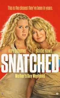 Snatched izle