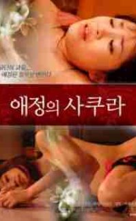 Yasaklı Gizli İlişkiler – Secret Relations of Forbidden 2015 erotik film izle