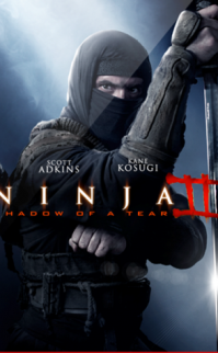Ninja: Shadow of a Tear izle