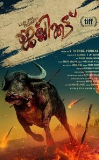 Jallikattu izle