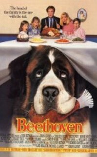 Afacan Köpek Beethoven türkçe dublaj izle