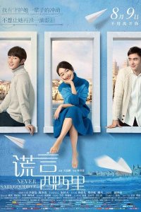Never Said Goodbye 2016 türkçe altyazılı izle