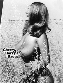 Russ Meyer Movie: Cherry, Harry & Raquel erotik film izle